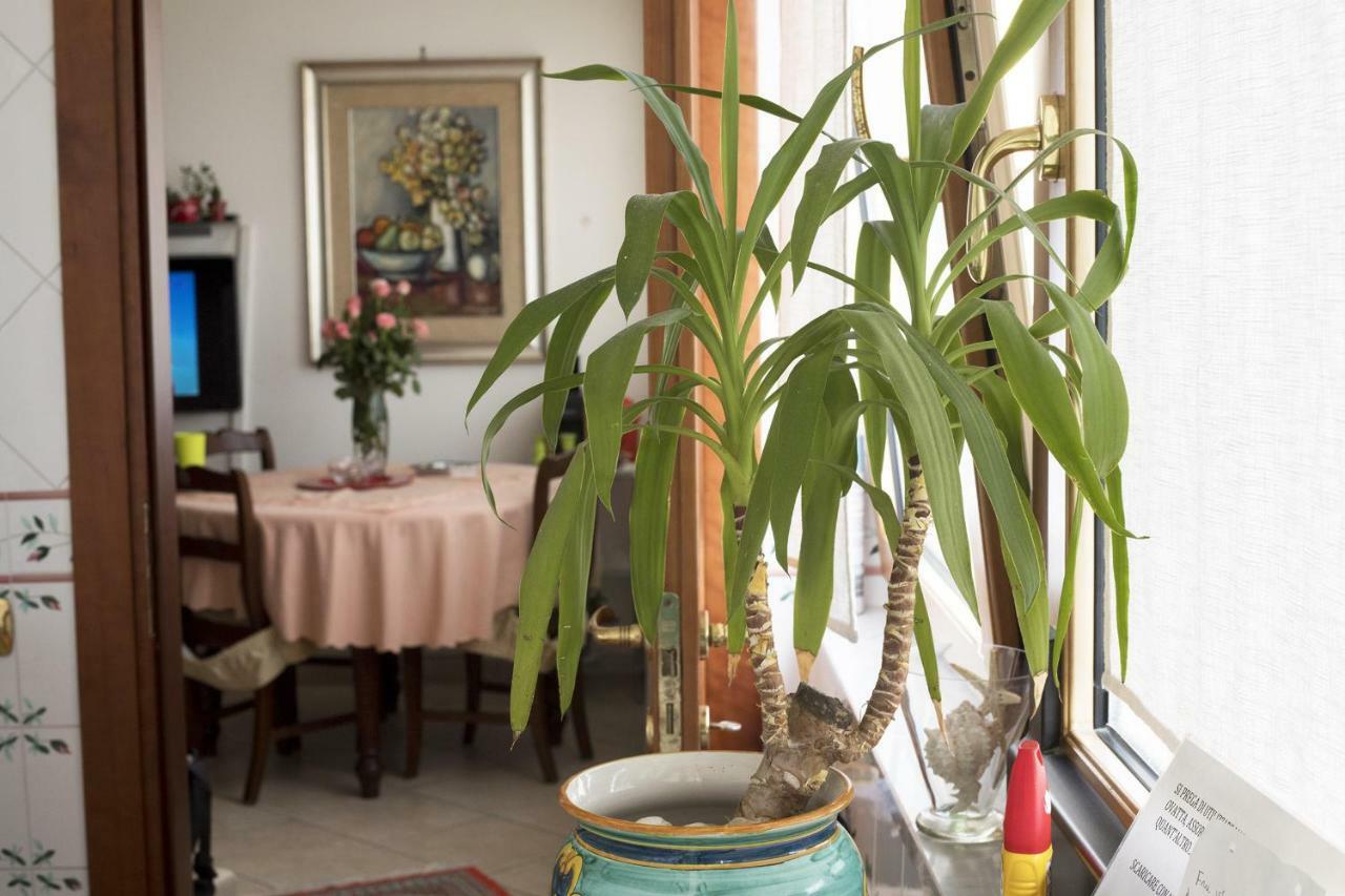 B&B Silvana Salerno Ngoại thất bức ảnh